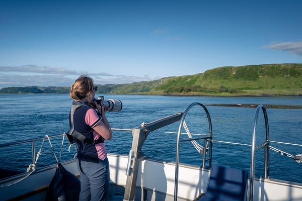 WIldlife boat trip, Argyll